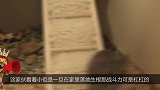 男子抓到老鼠后逼迫其抽烟，连续抽了10根烟后，男子无语了