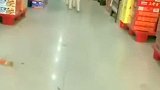 搞笑视频：二哈逛超市