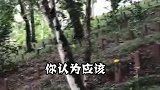 中国烈士陵园，葬着4名日本人，日本多次讨要被拒！