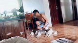 哈士奇：狗都不能干的事，没想到被你给干了，我恨你铲屎官