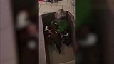 宝宝骑在斗牛犬身上，狗狗一动不动怕宝宝摔倒，太有爱了