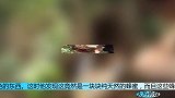 男子野外发现奇怪洞口挖开一看竟是这好东西