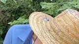 这扳手的味道，还欠点火候啊
