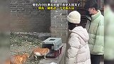 情侣在小区抓流浪猫，真是太搞笑了，随机选一个享福人员