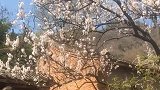 还是在这个薄情的世界里面，深情的活着吧。