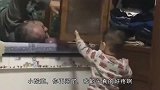 爆笑：这熊孩子太皮了