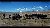 旅游-西部恋歌摩摄西藏