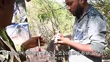 年老大象，腿上肿了一大块，不能行走，被救助后举动感动众人