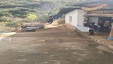 上门去定亲，经过泼水的洗礼