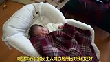 主人照看婴儿冷落了猫咪，猫咪：我还是你的小可爱吗？