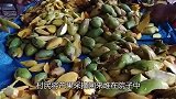 印度人制作“芒果干”的过程，成品专门卖给中国，看完你还想吃吗