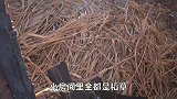 探秘废弃厂房，发现大量遗留物