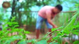 二哥又偷吃, 这道“黄金猪蹄”, 垂涎九尺了