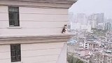 见过猫咪调皮爬窗户的，狗倒是第一次见，想不开了