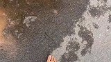 家人们，你们谁知道这电动车怎么骑上去的