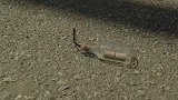 海绵宝宝：海绵宝宝放大招了，把炮弹变成巧克力豆，真是太好吃