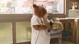 有多少人喜欢这只熊……