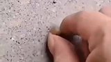 你以后千万别入土了