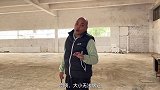 农师傅再建设再生产，希望能给大家伙带到更多更好的美味日常 生活