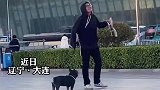自来熟的狗狗跟人抢滑板玩，抢到后一路滑跑众人在后面追