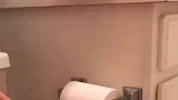 一只有强迫症的猫猫，为了这个家的整洁真是操碎了心