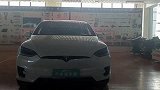 花费近百万元选特斯拉值吗