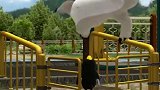 倒霉熊2：不排队还欺负人，遭报应了吧