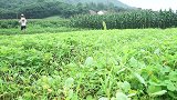 兄弟俩第一次炖牛大骨吃，大火炖两小时，大口吸牛骨髓，太过瘾了