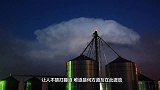 500多只绵羊集体跳崖死亡，这究竟是意外？还是有人在控制？