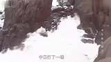 张召忠教授：为什么清朝会败得如此快，如此彻底？