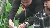 兄弟，说实话，你到底在水里面放了啥！