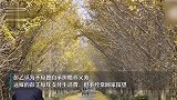 78岁老人起诉要求3儿1女尽孝：3儿每月给500元，女儿定期探望