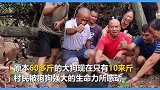 被困废墟37天狗狗奇迹生还！