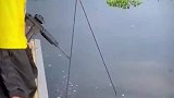 老外真会玩！直接上演硬核钓鱼，有这装备要什么纸飞机