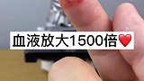 血液放大1500倍，你还敢不锻炼身体吗？锻炼身体好处多多