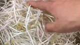 家常菜醋溜绿豆芽的做法