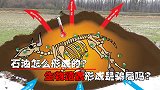 石油怎么形成的？生物遗骸形成是骗局吗？科学家揭开其中缘由