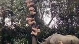 这种情况该如何逃生呢