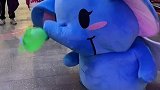 大象敲打小青蛙，青蛙猫咪一看不乐意了