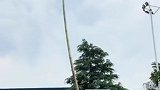 艺高人胆大！孔楼杂技项目市级代表性传承人孔令伟上演高难度动作，引得现场阵阵喝彩