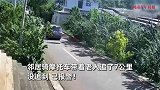 老人摆摊卖樱桃，男子下车端筐就跑，邻居骑摩托狂追7公里未果