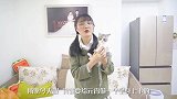 小猫从不舔毛，屁屁巨臭无比，主人只好代劳！
