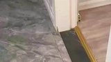 主人回房间看到这样的一幕