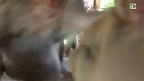 抢老猴王吃的，后果很严重哦