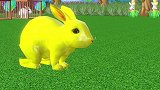 儿童卡通片：小白兔吃萝卜变换各种漂亮颜色