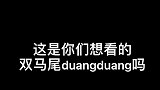 这就是传说中的“双马尾duang”