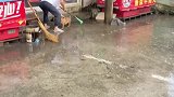 主人给小狗洗澡，洗的小狗怀疑人生，狗子我不要面子的吗