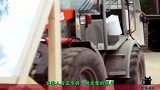 给野生动物们照镜子，会有怎样的反应看完能笑了一天
