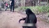 男子救助一只猴子后，猴子抱着男子不愿离开，男子最后为猴子找了个家
