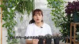 天气变热了，多肉最怕什么？看完就知道怎么养了